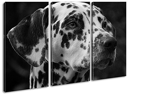 Dalmatien Hund mit blauen Augen Effekt: Schwarz/Weiß Format: 3-teilig 120x80 als Leinwandbild, Motiv fertig gerahmt auf Echtholzrahmen, Hochwertiger Digitaldruck mit Rahmen, Kein Poster oder Plakat