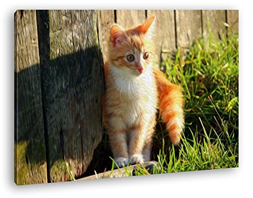 deyoli süße kleine Katze im Sonnenschein Effekt: Zeichnung Format: 80x60 als Leinwandbild, Motiv fertig gerahmt auf Echtholzrahmen, Hochwertiger Digitaldruck mit Rahmen, Kein Poster oder Plakat