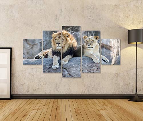 islandburner Bild Bilder auf Leinwand Löwenpaar männlicher und weiblicher Löwe, der auf Einem Felsen sitzt Wandbild, Poster, Leinwandbild NDP