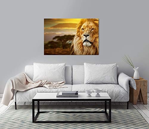 bestforhome 90x60cm Leinwandbild Löwe in der Savanne von Afrika Leinwand auf Holzrahmen