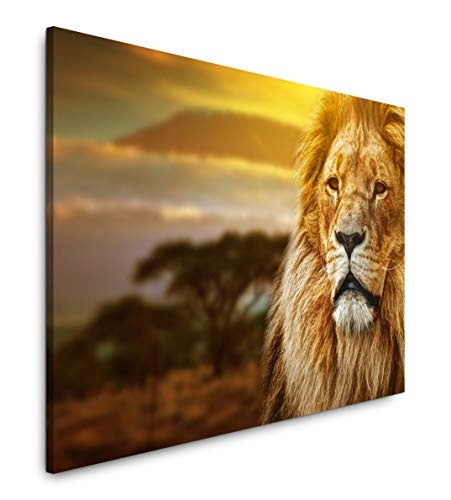 bestforhome 90x60cm Leinwandbild Löwe in der Savanne von Afrika Leinwand auf Holzrahmen