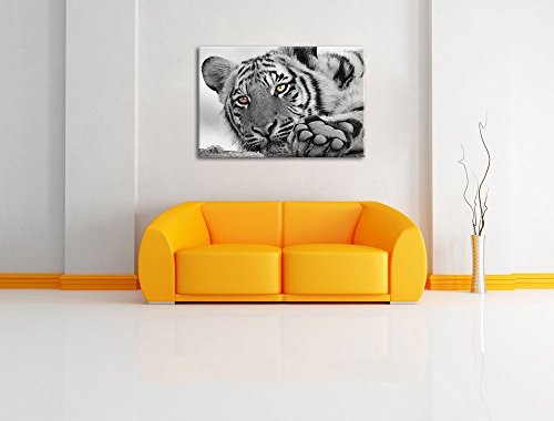 entspannter Tiger schwarz/weiß Format: 100x70 auf Leinwand, XXL riesige Bilder fertig gerahmt mit Keilrahmen, Kunstdruck auf Wandbild mit Rahmen, günstiger als Gemälde oder Ölbild, kein Poster oder Plakat