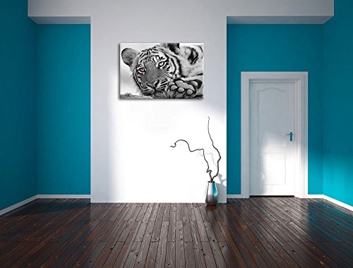 entspannter Tiger schwarz/weiß Format: 100x70 auf Leinwand, XXL riesige Bilder fertig gerahmt mit Keilrahmen, Kunstdruck auf Wandbild mit Rahmen, günstiger als Gemälde oder Ölbild, kein Poster oder Plakat