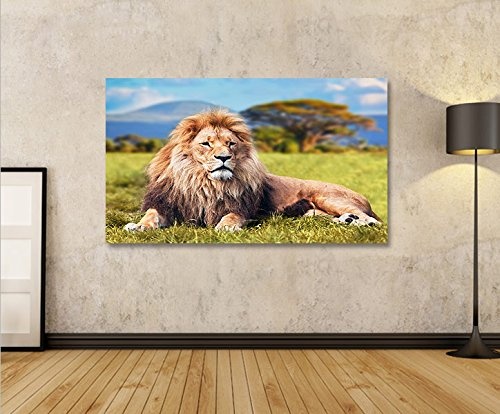 islandburner Bild Bilder auf Leinwand Löwe V2 König der Tiere Löwen 1p XXL Poster Leinwandbild Wandbild Dekoartikel Wohnzimmer Marke
