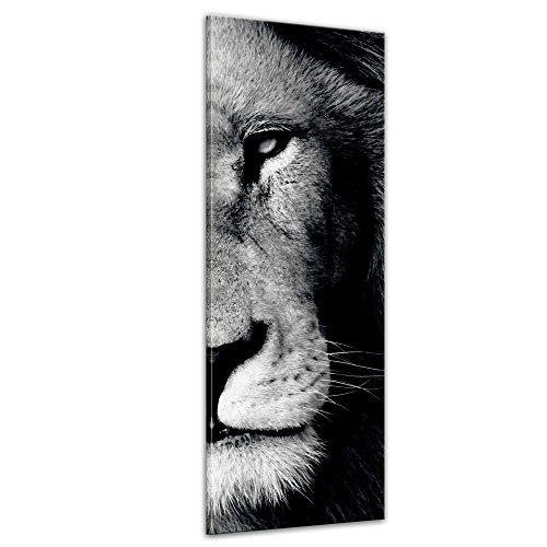 Wandbild - Löwe - sw - Bild auf Leinwand - 30 x 90 cm - Leinwandbilder - Bilder als Leinwanddruck - Tierwelten - Wildtiere - Wildkatze in schwarz weiß