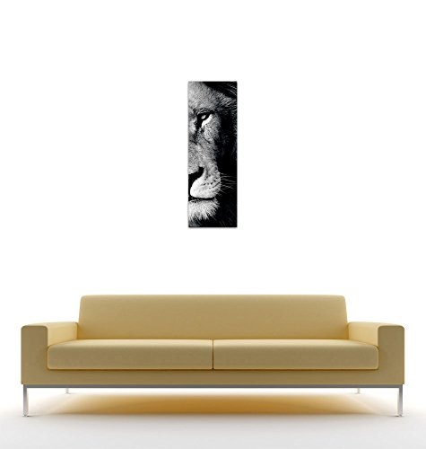 Wandbild - Löwe - sw - Bild auf Leinwand - 30 x 90 cm - Leinwandbilder - Bilder als Leinwanddruck - Tierwelten - Wildtiere - Wildkatze in schwarz weiß