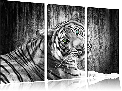 schöner neugieriger Tiger schwarz/weiß auf 3-Teiler Leinwandbild 120x80 Bild auf Leinwand, XXL riesige Bilder fertig gerahmt mit Keilrahmen, Kunstdruck auf Wandbild mit Rahmen, gänstiger als Gemälde oder Ölbild, kein Poster oder Plakat