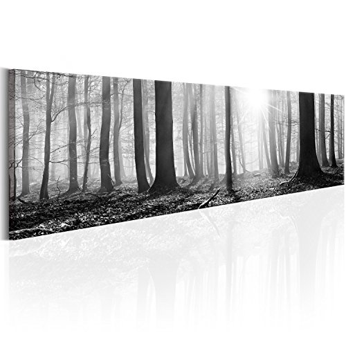 murando - Bilder Wald 172x45 cm Vlies Leinwandbild 1 TLG Kunstdruck modern Wandbilder XXL Wanddekoration Design Wand Bild - Waldlandschaft Natur Panorama Baum schwarz-weiß c-B-0247-b-a