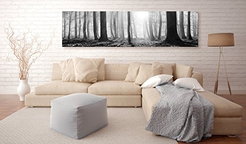 murando - Bilder Wald 172x45 cm Vlies Leinwandbild 1 TLG Kunstdruck modern Wandbilder XXL Wanddekoration Design Wand Bild - Waldlandschaft Natur Panorama Baum schwarz-weiß c-B-0247-b-a