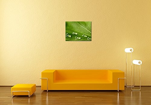 Wandbild - Wasserspuren auf Einem Blatt - Bild auf Leinwand - 60x50 cm einteilig - Leinwandbilder - Geist & Seele - Wassertropfen als kleine Fussspur