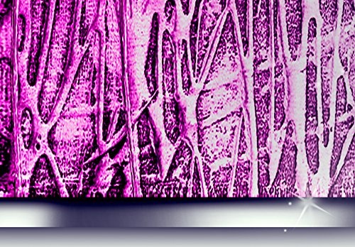 murando - Bilder 200x100 cm Vlies Leinwandbild 5 TLG Kunstdruck modern Wandbilder XXL Wanddekoration Design Wand Bild - Abstrakt a-A-0003-b-n