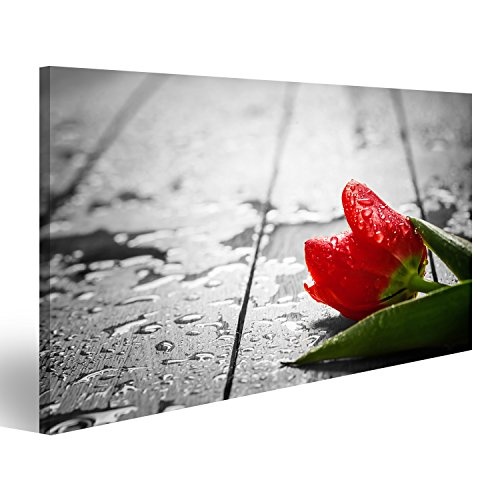 Bild auf Leinwand Frische rote Tulpenblume auf Holz. Nass, Morgentau. Frühlingskonzept der romantischen Liebe, Valentinstag, kann aber auch herzzerreißend sein. Wandbild Poster Leinwandbild
