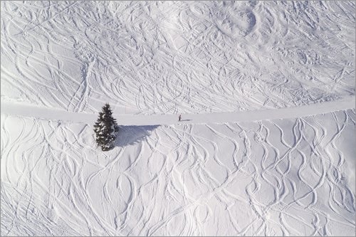 Leinwandbild 120 x 80 cm: Skigebiet Silvretta Nova, Baum Österreich, Rätische Alpen, Abfahrt von Roland T. Frank / Mauritius Images - fertiges Wandbild, Bild auf Keilrahmen, Fertigbild auf echter L...