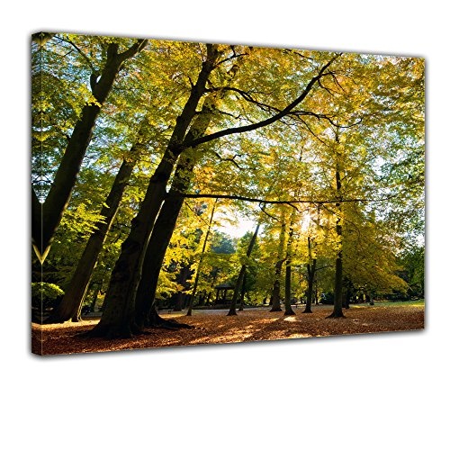 Wandbild - Blätterfall im Herbst - Bild auf Leinwand...