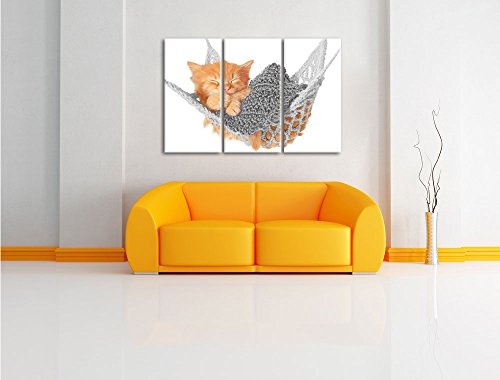 Pixxprint Schlafendes Katzenbaby in Hängematte Schwarz/Weiß 3-Teiler Leinwandbild 120x80 Bild auf Leinwand