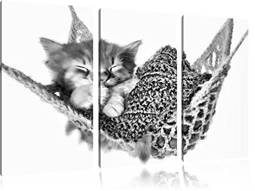 Pixxprint Monocrome, Schlafendes Katzenbaby in Hängematte 3-Teiler Leinwandbild 120x80 Bild auf Leinwand