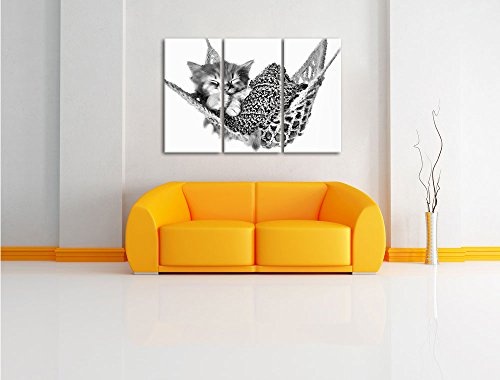 Pixxprint Monocrome, Schlafendes Katzenbaby in Hängematte 3-Teiler Leinwandbild 120x80 Bild auf Leinwand