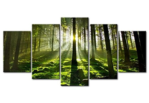murando - Acrylglasbild Landschaft 200x100 cm - 5 Teilig - Bilder Wandbild - modern - Decoration - Wald c-B-0100-k-m