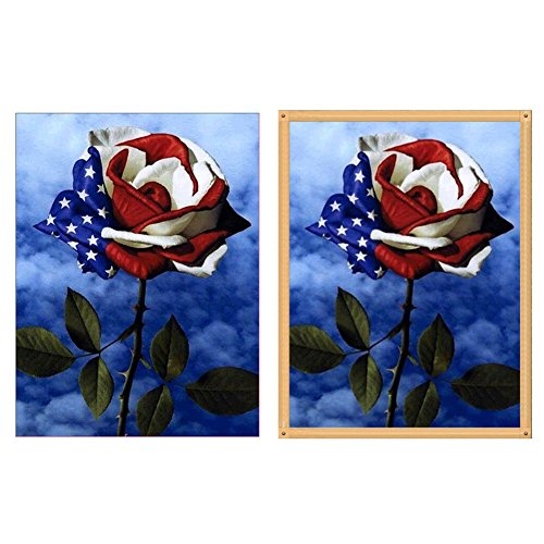 Dandeliondeme DIY Diamant Malerei Kits, American Flagge Design Rose 5D Art Diamant Painting Kreuzstich Stickerei Arts Craft Decor Geschenk 30 x 40 cm, Q1203