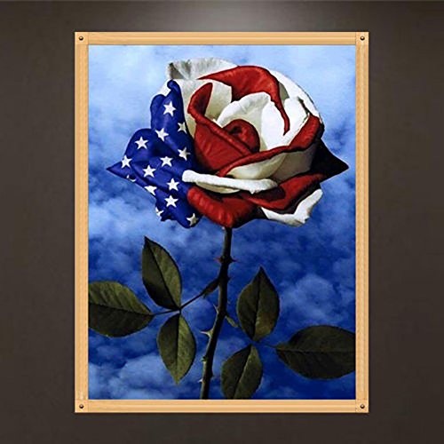 Dandeliondeme DIY Diamant Malerei Kits, American Flagge Design Rose 5D Art Diamant Painting Kreuzstich Stickerei Arts Craft Decor Geschenk 30 x 40 cm, Q1203