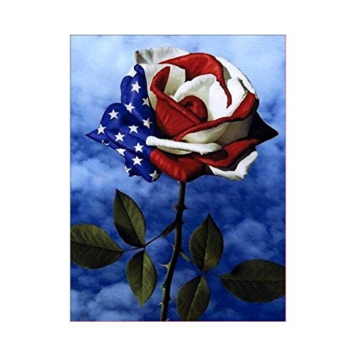 Dandeliondeme DIY Diamant Malerei Kits, American Flagge Design Rose 5D Art Diamant Painting Kreuzstich Stickerei Arts Craft Decor Geschenk 30 x 40 cm, Q1203