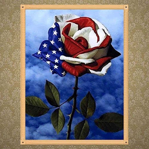 Dandeliondeme DIY Diamant Malerei Kits, American Flagge Design Rose 5D Art Diamant Painting Kreuzstich Stickerei Arts Craft Decor Geschenk 30 x 40 cm, Q1203