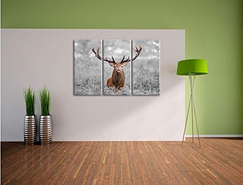 alvyu Big Hirsche im Feld B & W Detail 3-teilig Leinwandbild 120x80 Bild auf Leinwand