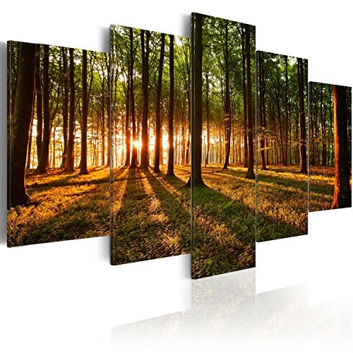 murando - Bilder 200x100 cm Vlies Leinwandbild 5 TLG Kunstdruck modern Wandbilder XXL Wanddekoration Design Wand Bild - Wald Natur b-B-0027-b-o