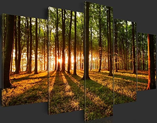 murando - Bilder 200x100 cm Vlies Leinwandbild 5 TLG Kunstdruck modern Wandbilder XXL Wanddekoration Design Wand Bild - Wald Natur b-B-0027-b-o