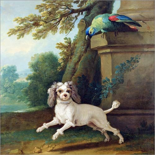 Posterlounge Leinwandbild 120 x 120 cm: Zaza, der Hund von Jean-Baptiste Oudry/Bridgeman Images - fertiges Wandbild, Bild auf Keilrahmen, Fertigbild auf echter Leinwand, Leinwanddruck