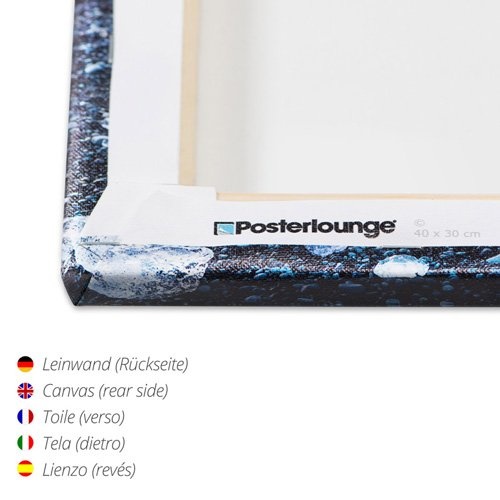 Posterlounge Leinwandbild 180 x 120 cm: Schneeballschlacht Isländer Fohlen von Katho Menden - fertiges Wandbild, Bild auf Keilrahmen, Fertigbild auf echter Leinwand, Leinwanddruck