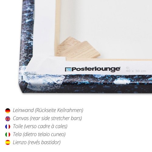 Posterlounge Leinwandbild 180 x 120 cm: Schneeballschlacht Isländer Fohlen von Katho Menden - fertiges Wandbild, Bild auf Keilrahmen, Fertigbild auf echter Leinwand, Leinwanddruck