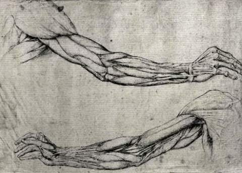Leinwandbild auf Keilrahmen: Leonardo da Vinci, "Study of Arms", 67 x 48