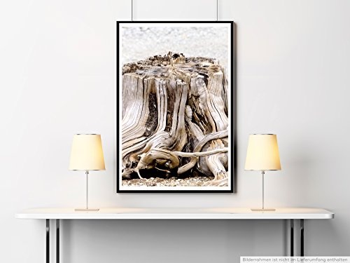 Sinus Art Kunst Leinwandbild - Naturfotografie - Baumstumpf am Strand- Fotodruck in gestochen scharfer Qualität