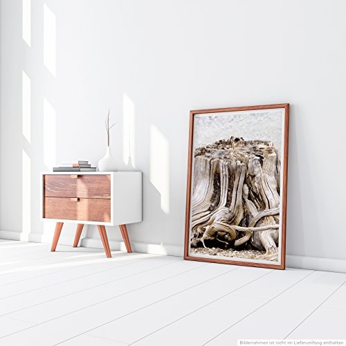 Best for home Artprints - Kunstbild - Baumstumpf am Strand- Fotodruck in gestochen scharfer Qualität