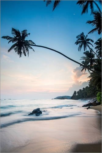 Leinwandbild 100 x 150 cm: Mirissa Beach, Mirissa, Matara District, Southern Province, Sri Lanka, Asia von John Alexander/Robert Harding - fertiges Wandbild, Bild auf Keilrahmen, Fertigbild auf e.