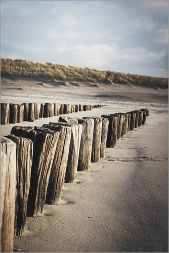 Leinwandbild 80 x 120 cm: Wooden groynes on a Sandy Beach, Leading to Sand Dunes, Domburg, Zeeland, The Netherlands, Europe von Mark Doherty/Robert Harding - fertiges Wandbild, Bild auf Keilrahme.