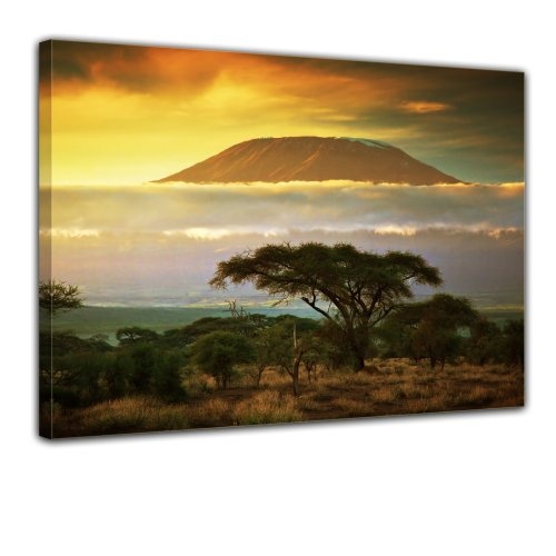 Wandbild - Kilimandscharo mit Savanne in Kenya - Afrika - Bild auf Leinwand - 80x60 cm - Leinwandbilder - Landschaften - Tansania - Nationalpark - Sonnenuntergang