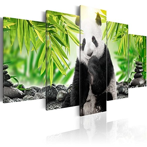 murando - Bilder 100x50 cm Vlies Leinwandbild 5 TLG Kunstdruck modern Wandbilder XXL Wanddekoration Design Wand Bild - Tier Panda Natur Landschaft Kinde g-C-0006-b-n