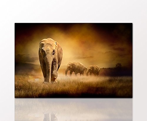 BERGER DESIGNS - Tierbild "Elephants at sunset"...