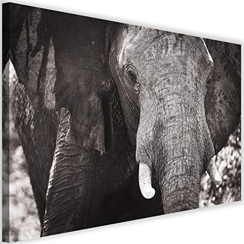 Feeby Wanddeko Elephant Leinwandbilder Kunstdruck Tier Afrika Natur Grau 60x40 cm