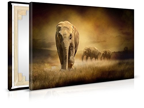 Leinwandbild Elephants at Sunset - Fertig Aufgespannt - Gemälde, Kunstdruck, Wandbild, Keilrahmen, Bild auf Leinwand von Trendwände - Format: 90x60cm, Standard: Polyester-Leinwand 2cm Rahmen