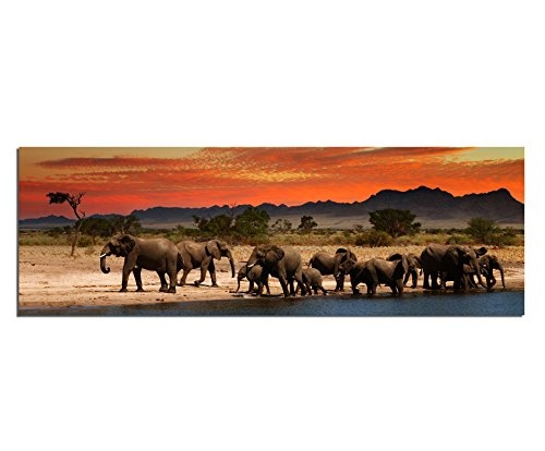 Herd of Elephants Leinwandbilder Wandbilder Leinwandbild...