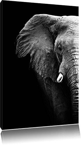 Pixxprint Elefant Porträt Format: 120x80 auf Leinwand, XXL riesige Bilder fertig gerahmt mit Keilrahmen, Kunstdruck auf Wandbild mit Rahmen, günstiger als Gemälde oder Ölbild, kein Poster oder Plakat