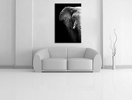 Pixxprint Elefant Porträt Format: 120x80 auf Leinwand, XXL riesige Bilder fertig gerahmt mit Keilrahmen, Kunstdruck auf Wandbild mit Rahmen, günstiger als Gemälde oder Ölbild, kein Poster oder Plakat