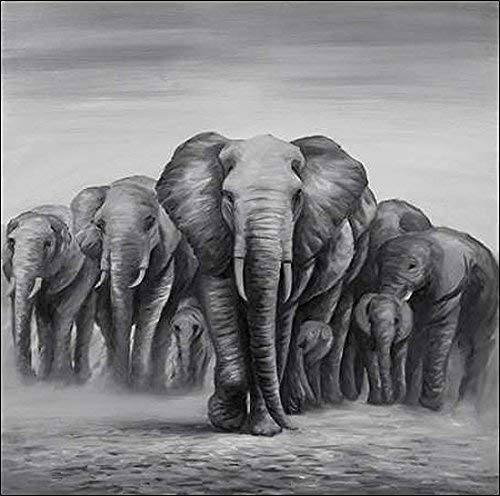 Keilrahmen-Bild - Atelier B Art Studio: Herd Elephants...