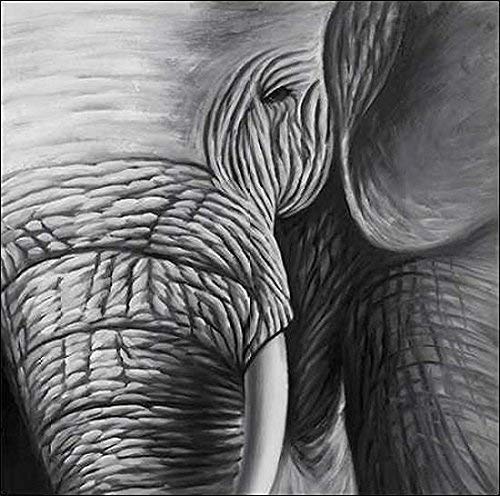 Keilrahmen-Bild - Atelier B Art Studio: Elephants Leinwandbild (80x80)