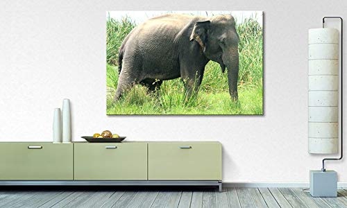 WandbilderXXL ® Leinwandbild Old Elephant 120x80cm - Fertig gespannt auf Keilrahmen. Leinwandbild zum Top Preis. Weitere Motive in unserem Amazon Shop