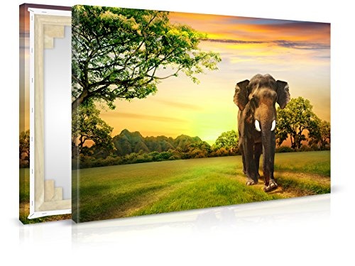XXL-Tapeten Leinwandbild Sunset Elephant - Fertig Aufgespannt - Gemälde, Kunstdruck, Wandbild, Keilrahmen, Bild auf Leinwand von Trendwände - Format: 90x60cm, Standard: Polyester-Leinwand 2cm Rahmen