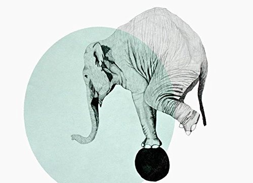 JUNIQE® Leinwandbild 30x45cm Elefanten - Design „Elephant“ (Format: Quer) - Leinwand, Bilder auf Leinwand & Leinwanddrucke von unabhängigen Künstlern - Elefanten Kunst & Bilder - entworfen von Morgan Kendall